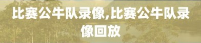 比赛公牛队录像,比赛公牛队录像回放